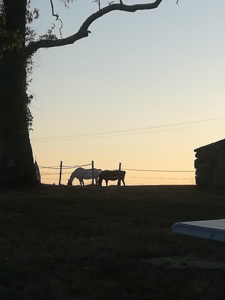 LES ECURIES DE CHABROT - photo 1