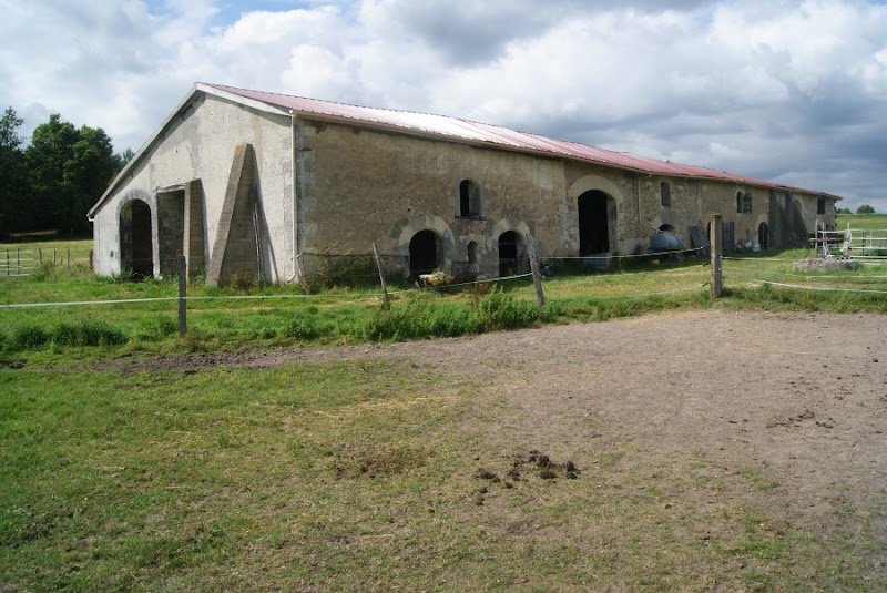 Haras de cressac - photo 2