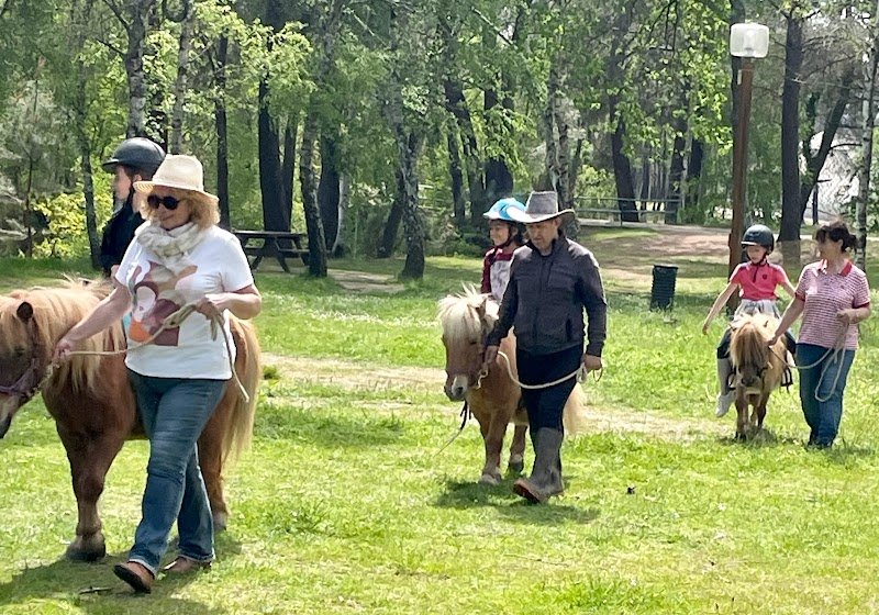 écurie narolles - photo 1