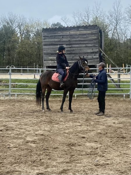 écurie narolles - photo 2