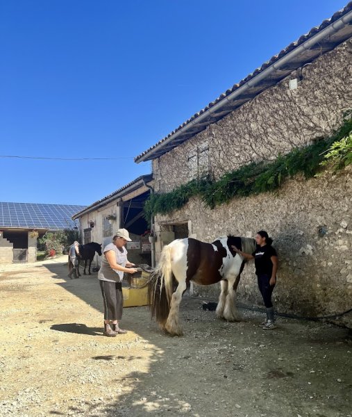 écurie narolles - photo 3