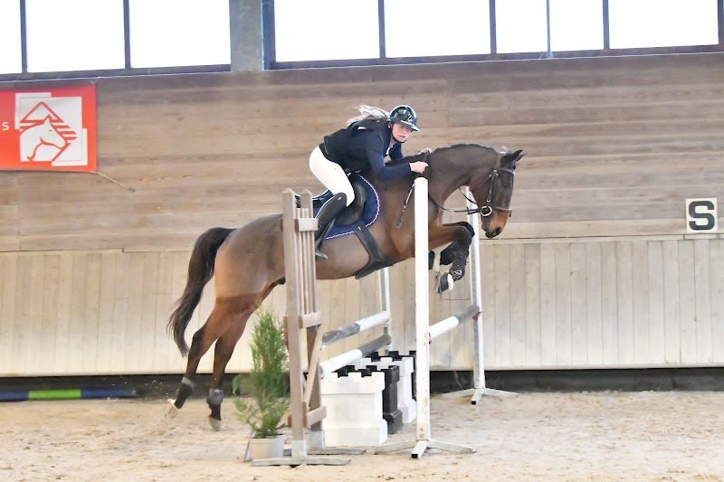 Les écuries du Pible - photo 2