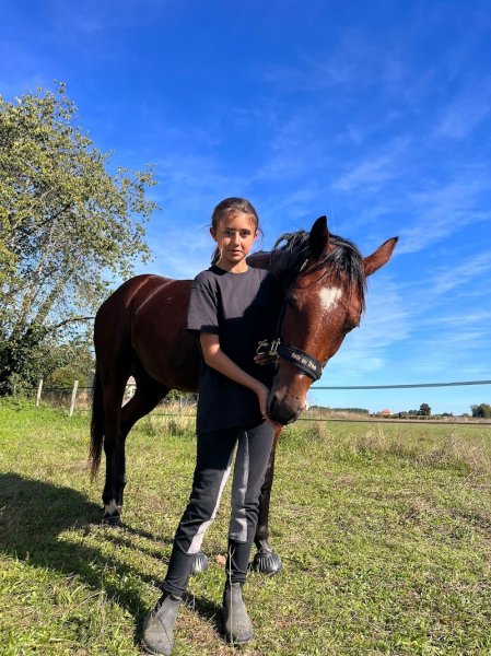 Les écuries du Pible - photo 3