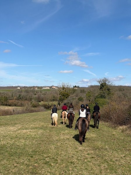 Ecurie du Merle - photo 3