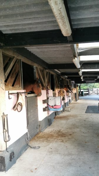 Ecurie team Boulter - photo 3