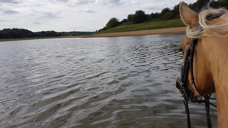 Centre Equestre des Lacs de Haute Charente