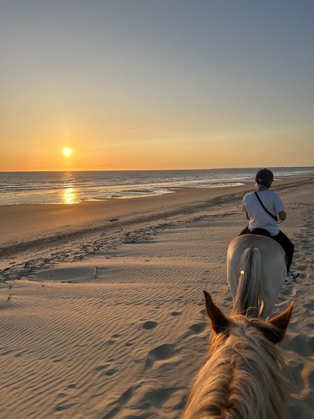 Ecuries du Carbet - photo 2