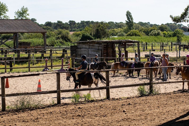 Ecuries du Carbet - photo 3