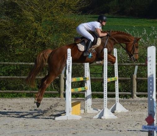 Écurie de La Rondellerie - photo 1