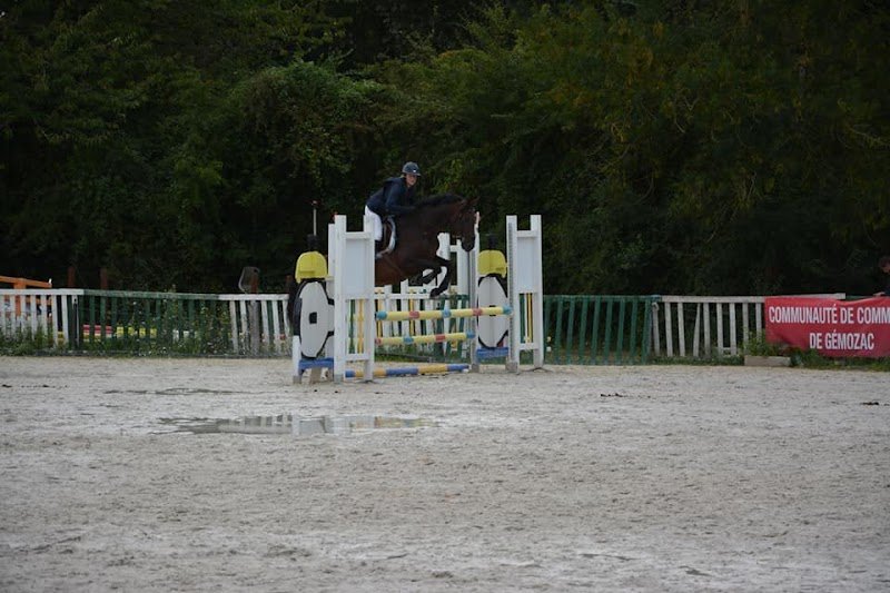 Écurie de La Rondellerie - photo 2