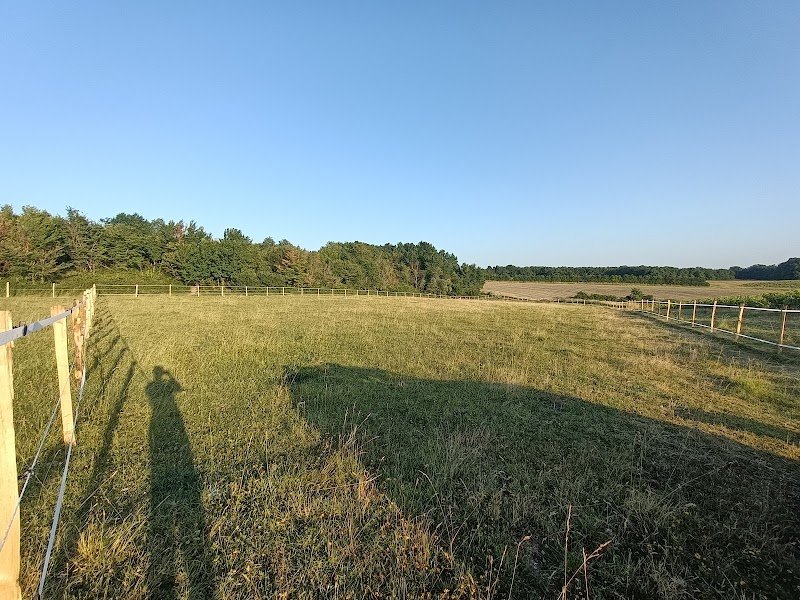 Écurie du Bois Joly - photo 1