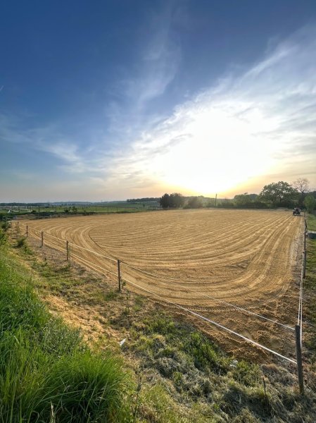 Écurie du Bois Joly - photo 2