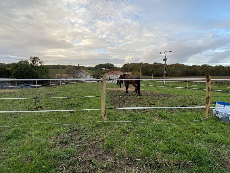 Écurie du Bois Joly - photo 3