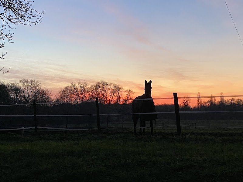 Les Ecuries Educ Horse - photo 1