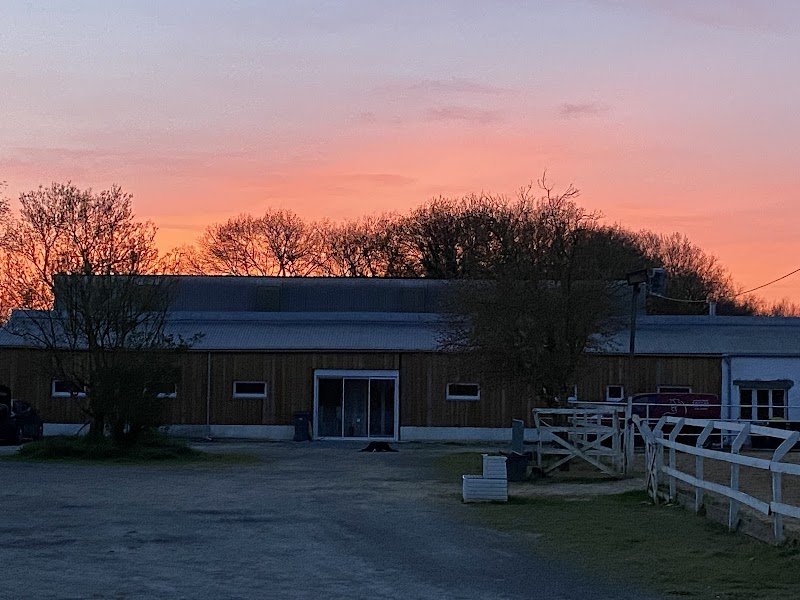 Les Ecuries Educ Horse - photo 2