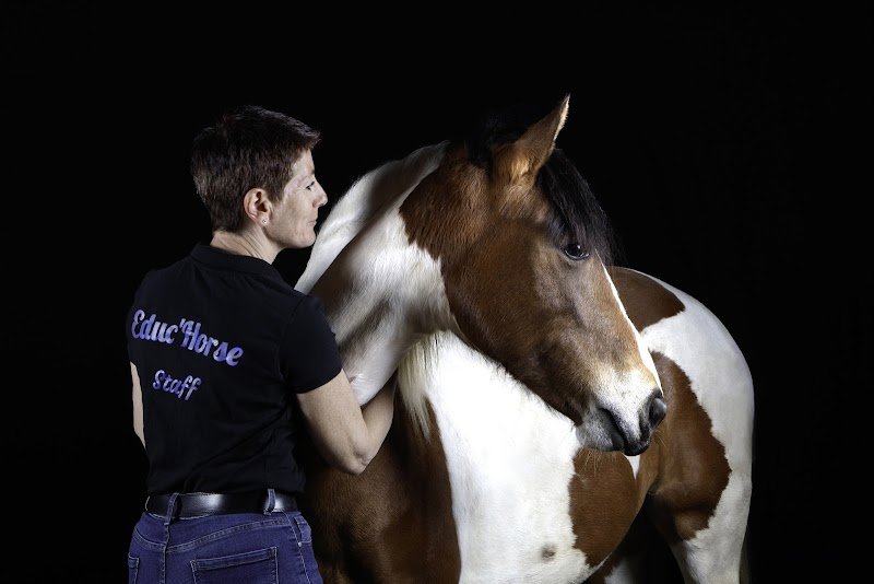 Les Ecuries Educ Horse - photo 3