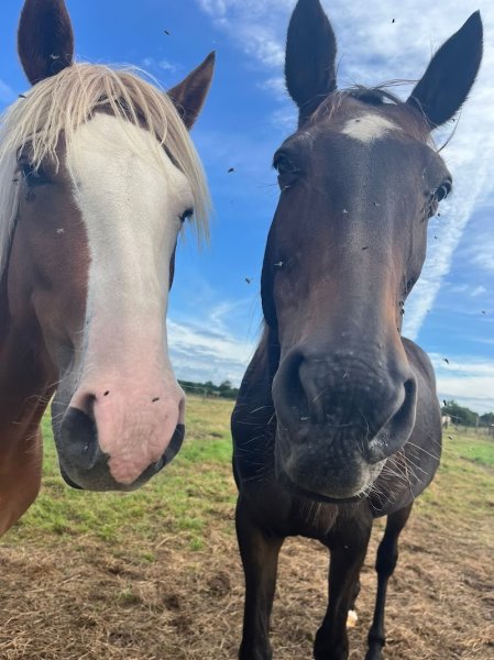 Écurie Val Deux Cœurs - photo 1