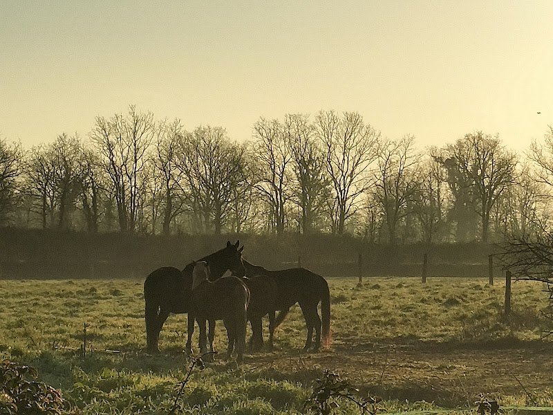 Écurie Val Deux Cœurs - photo 2
