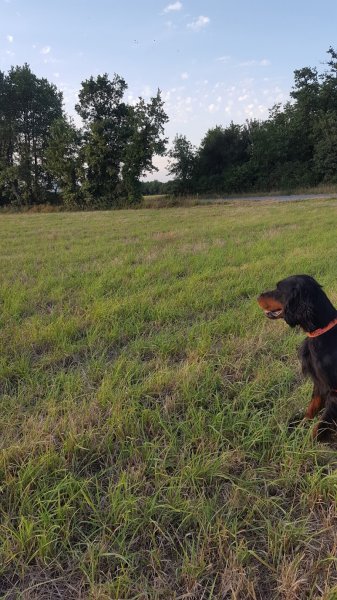 Pension familiale "Les 4 Pattes S'évadent" - photo 1