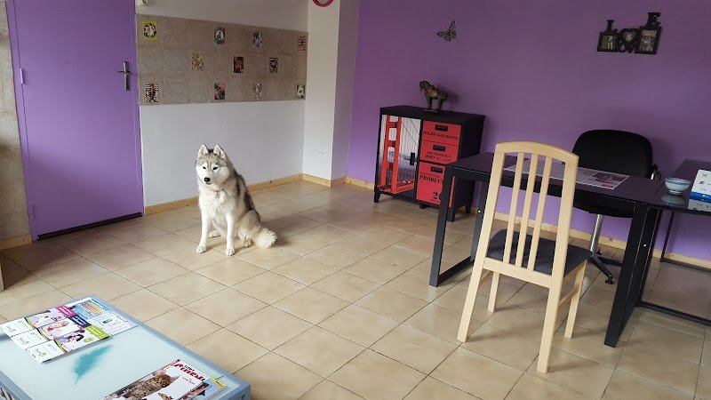 Pension familiale "Les 4 Pattes S'évadent" - photo 3