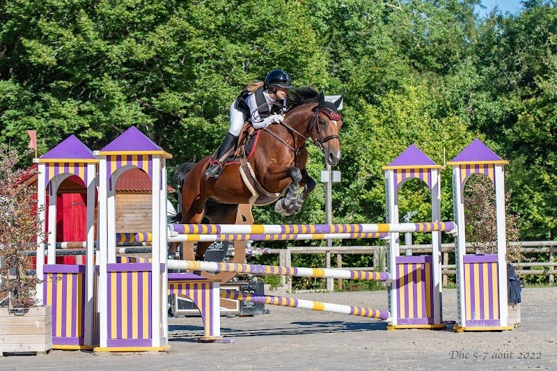 Les Ecuries du Domaine du Grand Air - photo 1