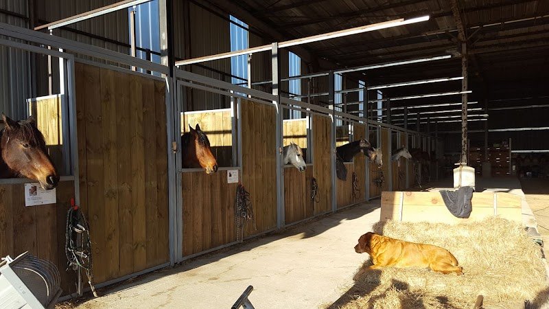 Les Ecuries du Domaine du Grand Air - photo 2