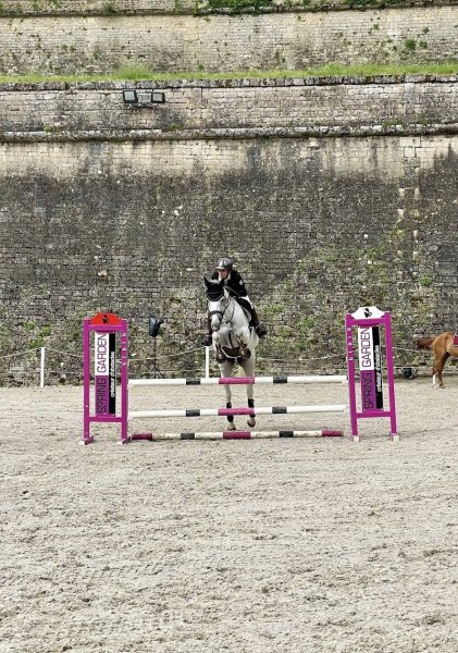 Les Ecuries du Domaine du Grand Air - photo 3