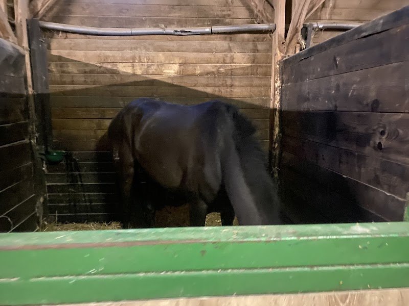 Ecurie des Pins - photo 2