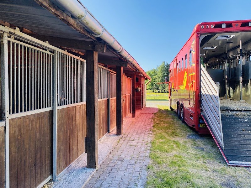 Ecurie des Pins - photo 3