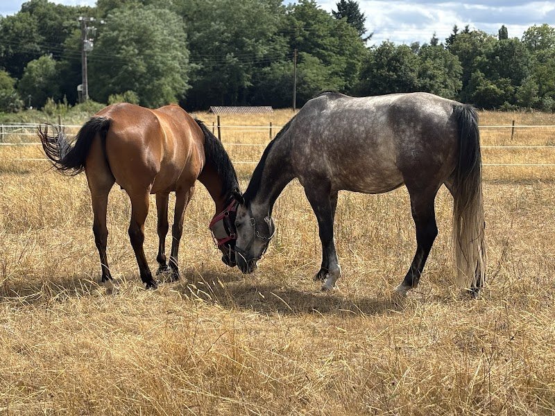 Écurie de Villecheroux
