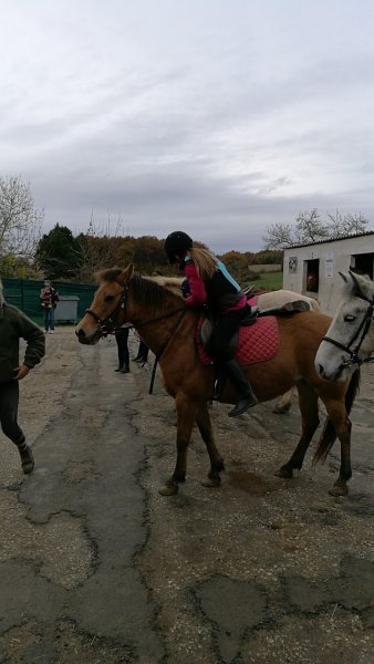 Ecuries des Chartres - photo 3