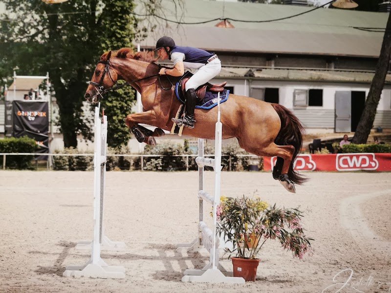 Les Ecuries du Claud Neuf - photo 1