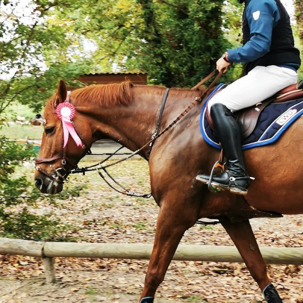 Les Ecuries du Claud Neuf - photo 2