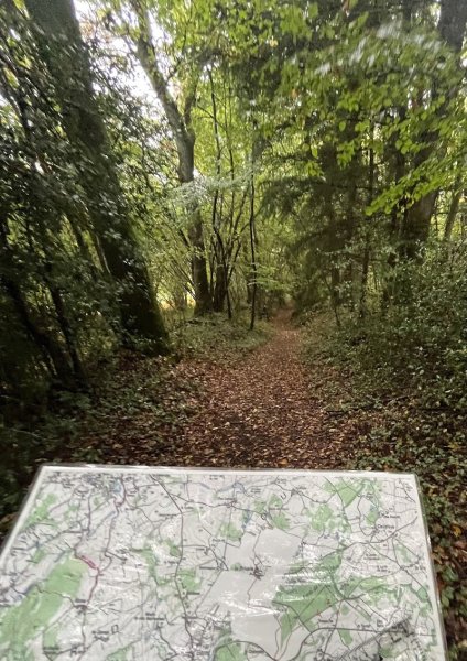 Les Ecuries d'S'Poir - photo 3