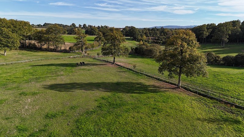Écuries des Sous- Domaine du Phoenix - photo 1