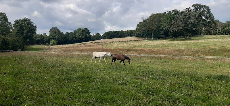 Écuries des Sous- Domaine du Phoenix - photo 2