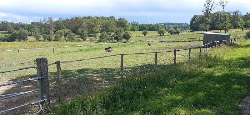 Écuries des Sous- Domaine du Phoenix - photo 3
