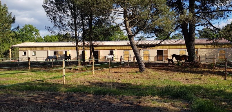 Haras de L'Artolie - photo 3