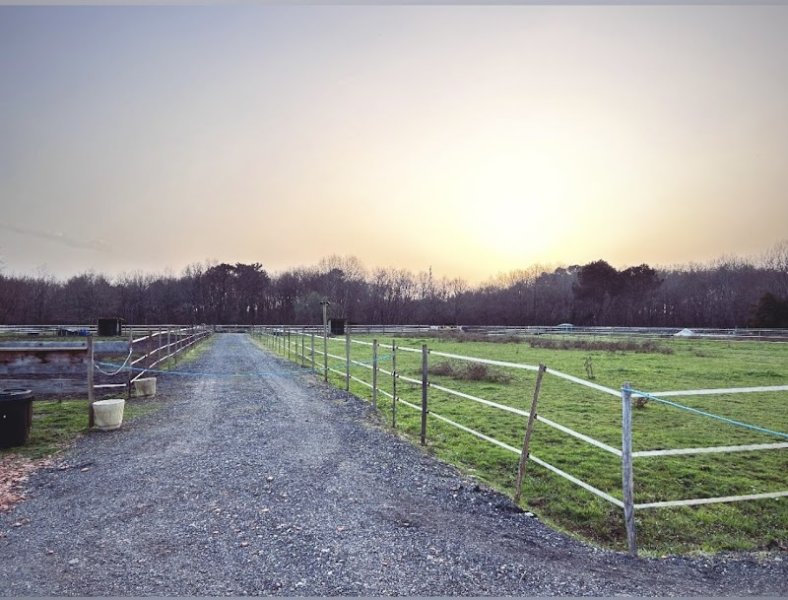 La Pension du Médoc - photo 1