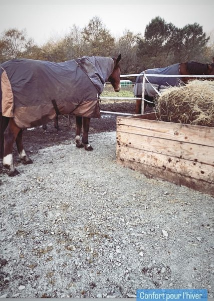 La Pension du Médoc - photo 2