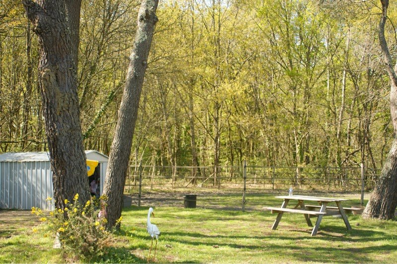 La Pension du Médoc - photo 3