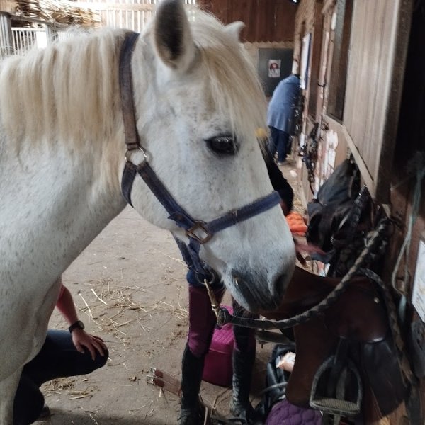 Centre Equestre Poney Club Du Couret - photo 2