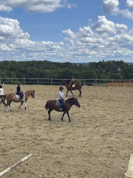 Centre Équestre DU CALEDO - photo 3