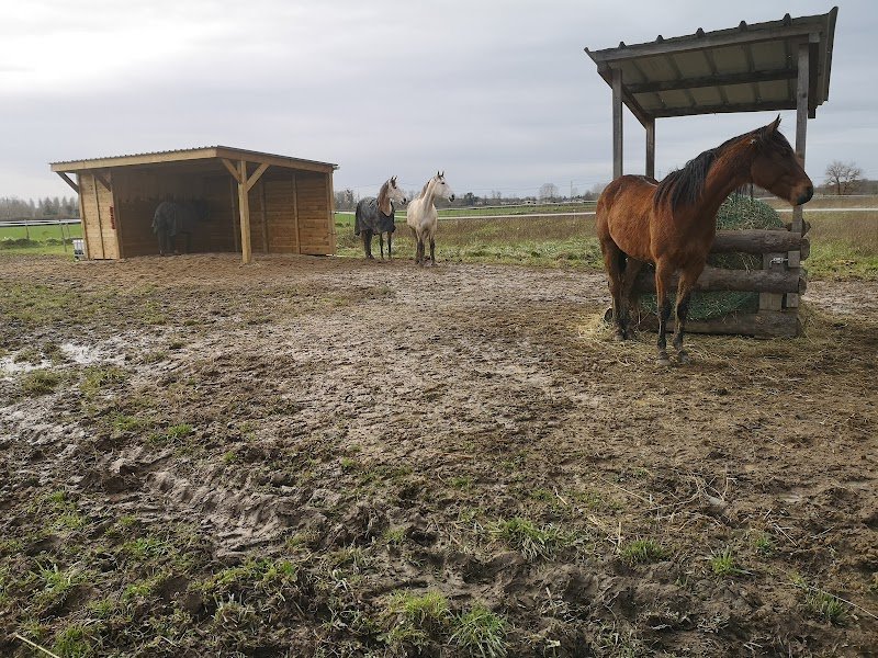 Pension Pré Les Sabots de La Cadie - photo 1