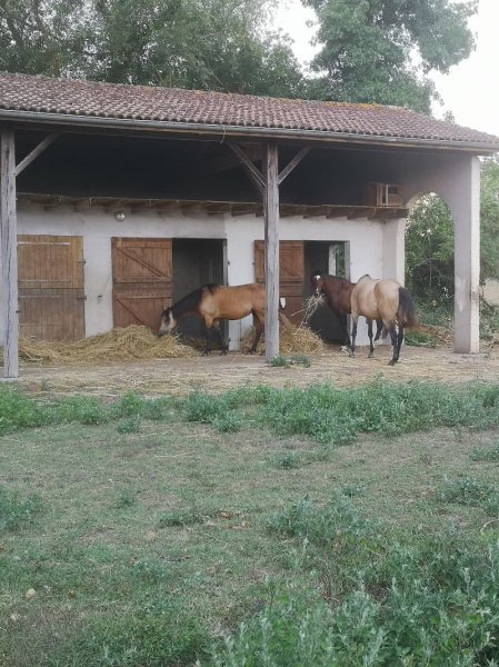 Pension Pré Les Sabots de La Cadie - photo 3