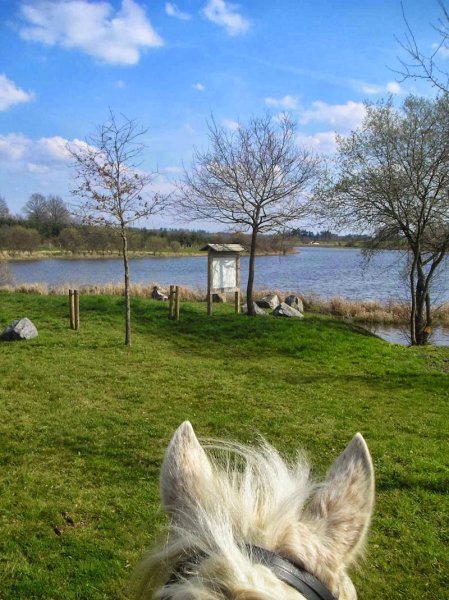 Centre Equestre du Barrage de Lavaud