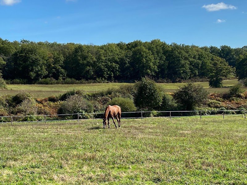 Les écuries de Chamboret - photo 1