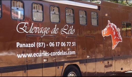 Les Écuries de Cordelas, centre équestre et pensions Limoges