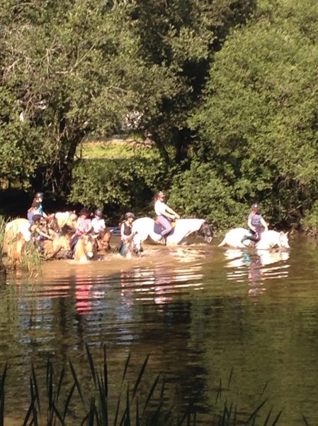 Les Écuries de Cordelas, centre équestre et pensions Limoges - photo 2