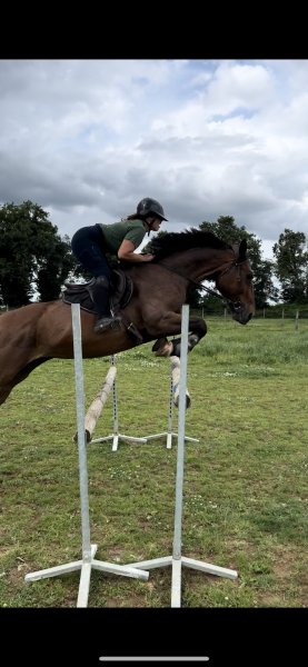 Les écuries de rabion - photo 3